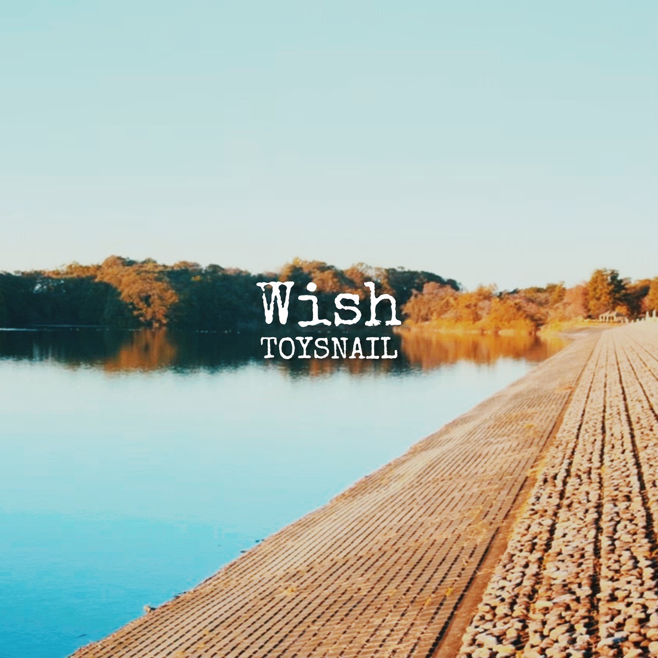 Wish